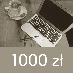 gotowe sklepy internetowe